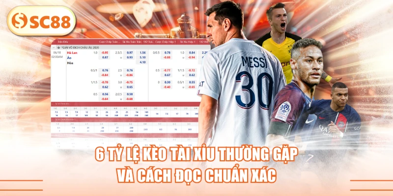 6 Tỷ Lệ Kèo Tài Xỉu Thường Gặp Và Cách Đọc Chuẩn Xác 1 6 Tỷ Lệ Kèo Tài Xỉu Thường Gặp Và Cách Đọc Chuẩn Xác
